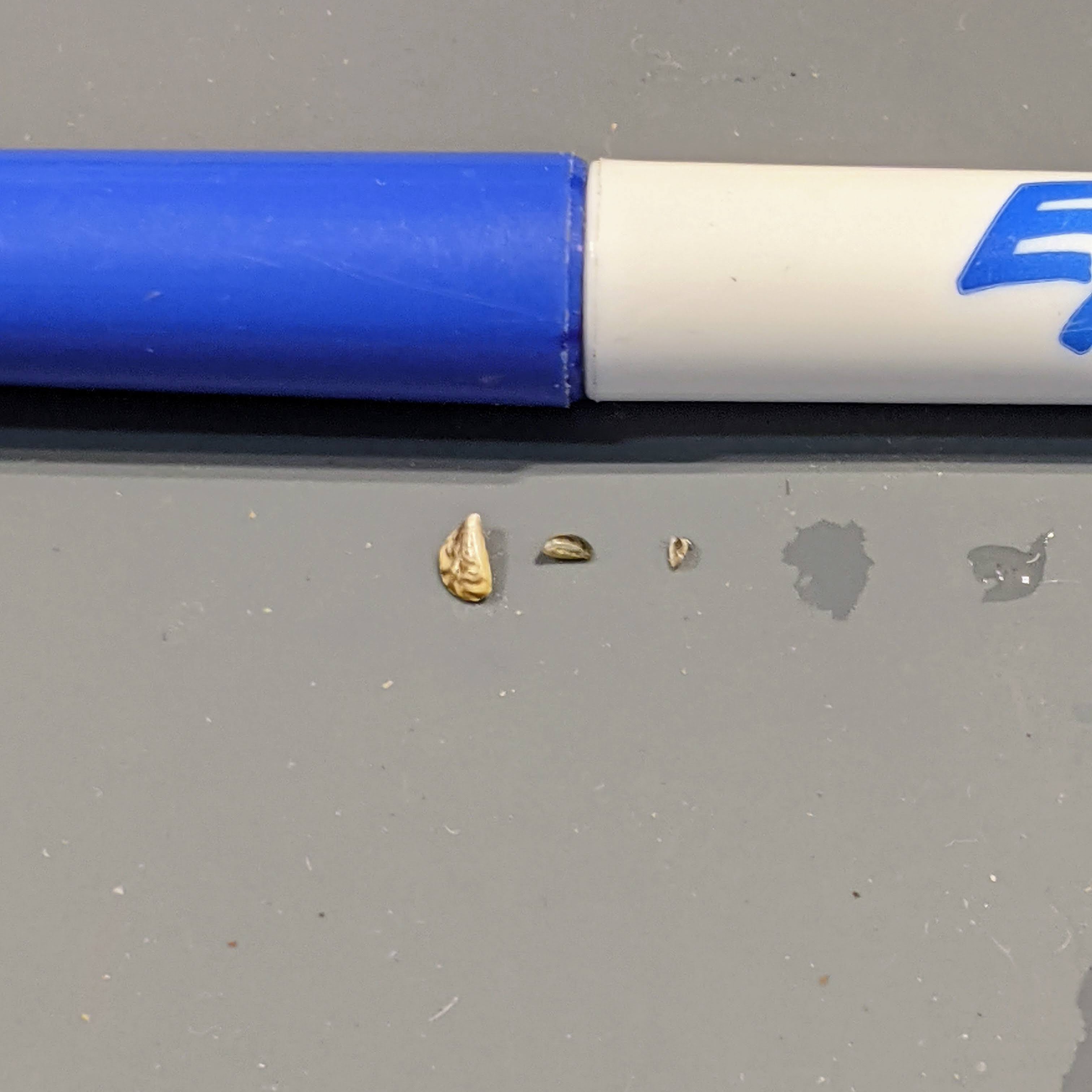 zebra mussels and marker