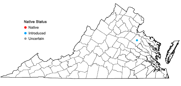 waterwheel map from Digital Atlas of Virginia's Flora