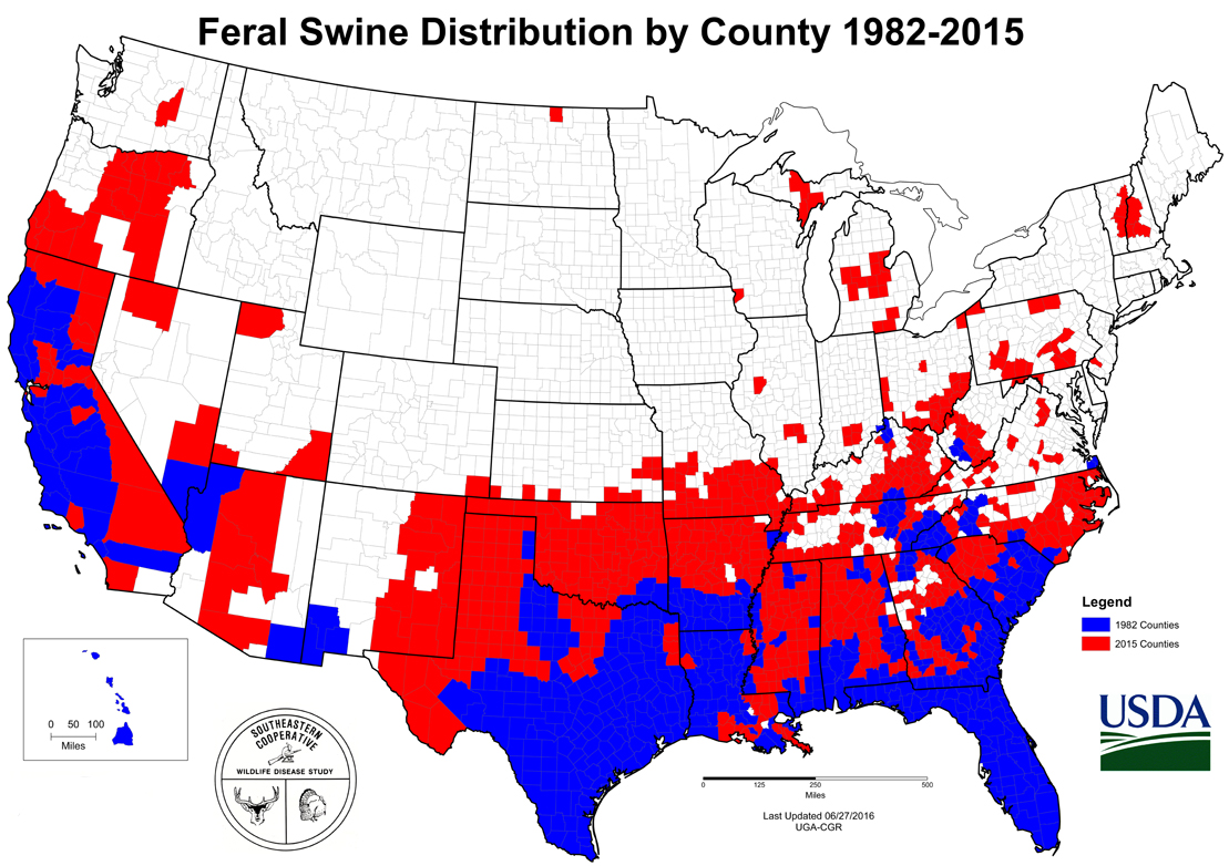 feral swine distribution map 2015