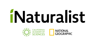 inaturalist logo