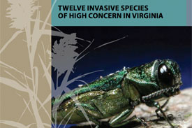 twelve invasive species booklet